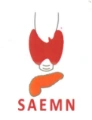 Revue SAEMN