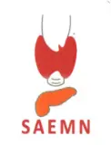 Revue SAEMN